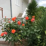 Apartment Raslina