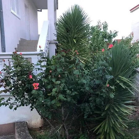 아파트 Apartment Raslina