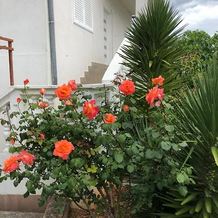 Apartment Raslina