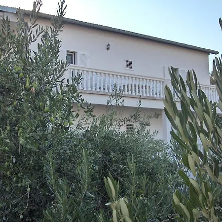 Apartment Raslina