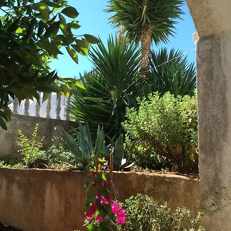 Apartment Raslina 아파트