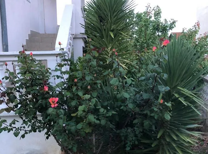 Apartamento Apartment Raslina