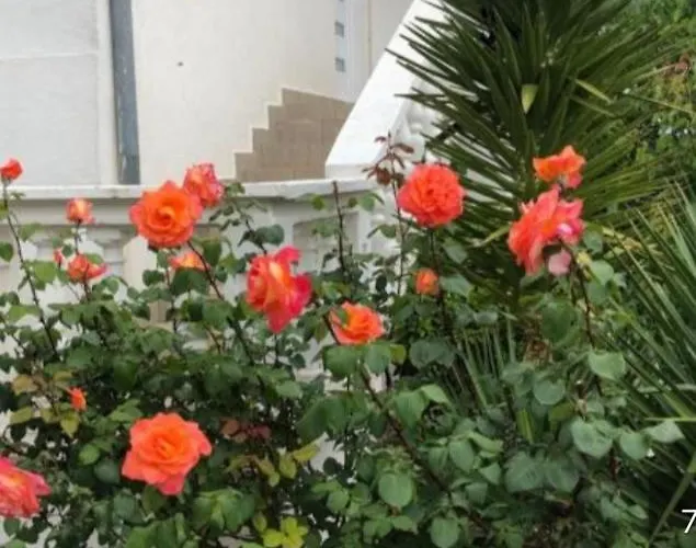 Apartamento Apartment Raslina