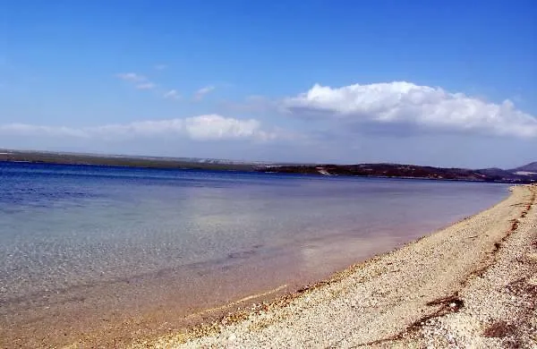 Apartment Raslina Raslina